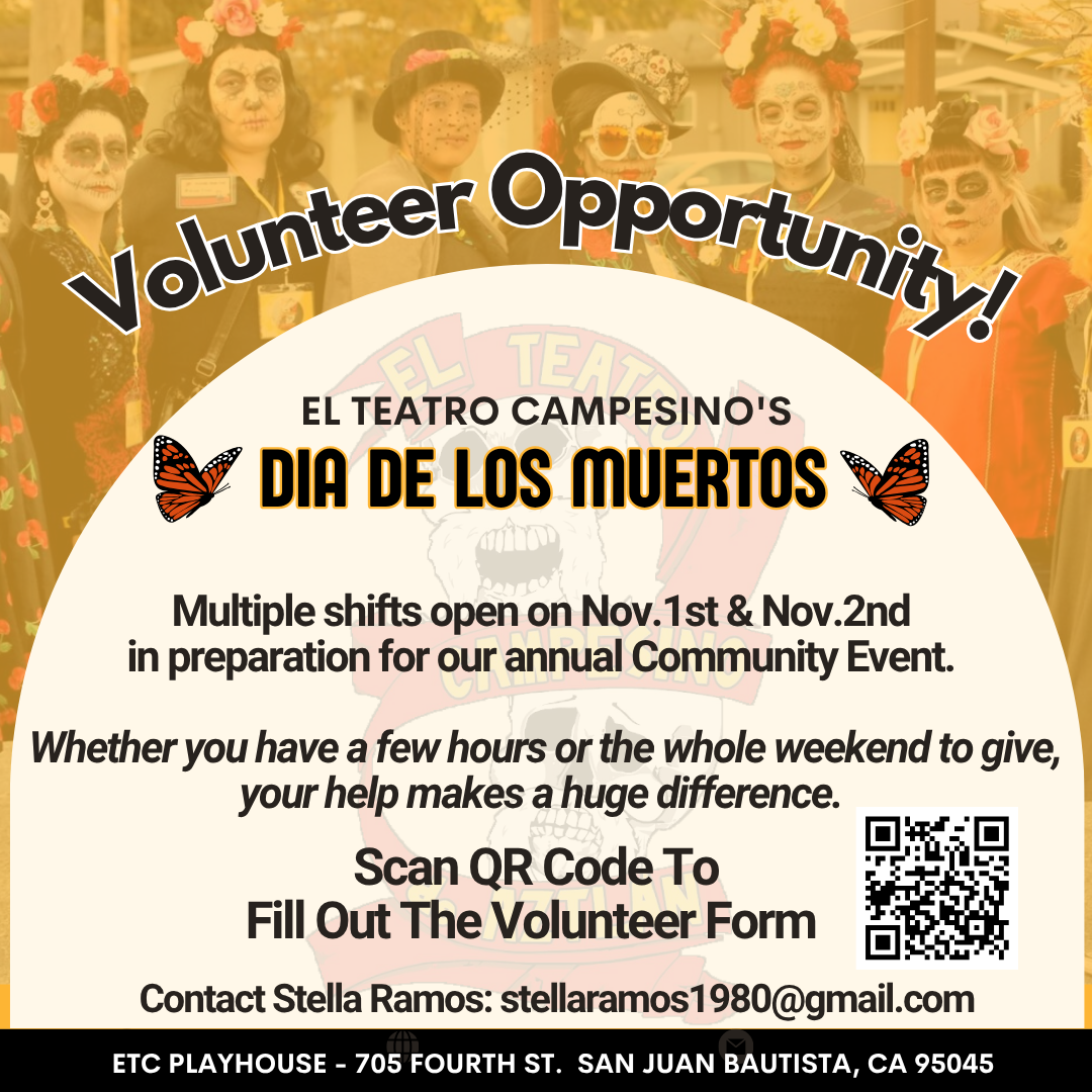 DDLM25 Volunteer Call for Webpage